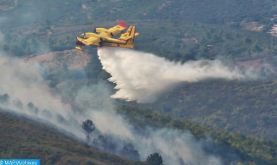 Declarados incendios en una zona forestal en la provincia de Tetuán