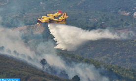 Taunat: Continúan los esfuerzos para controlar cuatro focos de incendio en el bosque "Jandek Tesyana" (fuentes locales)
