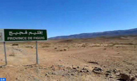 Figuig: Reunión sobre la evolución de la situación de las tierras agrícolas al norte de “Ued El Arya” en la frontera marroquí-argelina