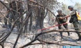 Continúan los esfuerzos para contener el incendio en el bosque de Maghraoua en Taza