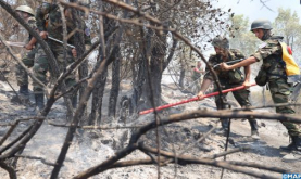 Tetuán: controlado el incendio forestal de Bni Hassan (Fuentes locales)