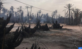 Guelmim: Varias palmeras arrasadas por un incendio en el oasis de Tighmert