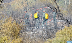 Taunat: Cercados los focos de incendio en el bosque de Jandek Tesyana (fuentes locales)