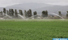 Sector agrícola: el gobierno obra por encontrar soluciones innovadoras para una gestión racional de los recursos hídricos (Baitas)