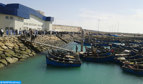 Puerto de Dajla: Bajan un 3% los desembarques pesqueros a finales de agosto