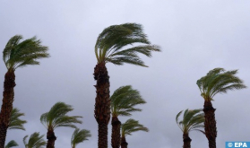 Fuertes rachas de viento con tormentas de arena locales el martes y el miércoles en varias provincias del Reino (boletín de alerta)