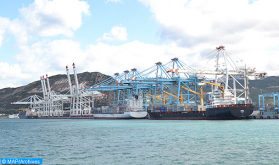Los intercambios comerciales a través de los puertos aumentan un 5,5% hasta el 21 de abril de 2020 (ANP)