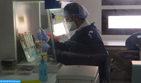 Coronavirus: 8 nuevos casos confirmados y 7 recuperaciones en Fez-Mequínez