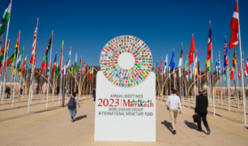 La acogida por Marruecos de las Reuniones del BM/FMI, un acontecimiento importante para toda África (Responsable BAD)
