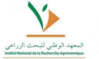 Céréaliculture: l'INRA présente à Marchouch les rendements de ses nouvelles variétés tolérantes à la sécheresse