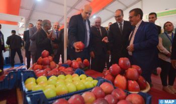 Midelt : le Salon national de la pomme ouvre ses portes