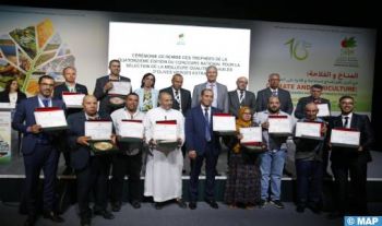 Meknès : 12 huiles d'olive appartenant à quatre régions primées lors du 14ème concours national