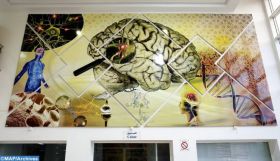 L'impact des neurosciences sur la société au centre d'une conférence à Rabat