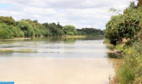 Région TTA: Plus de 280 MDH alloués à la réutilisation des eaux usées traitées pour l'arrosage des espaces verts et des golfs