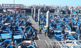 Vaste opération de désinfection du port d'Essaouira après sa fermeture en raison de la Covid-19