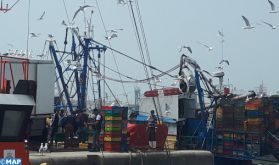 Covid-19 : Le port d'Essaouira reprend ses activités une semaine après sa fermeture