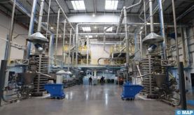 Automobile: Ravago et Repsol inaugurent une nouvelle usine de compoundage à Tanger Med
