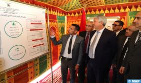 Ouezzane : Lancement de plusieurs projets de développement agricole et rural