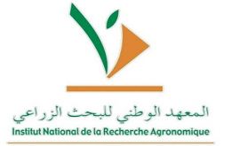 Céréaliculture: l'INRA présente à Marchouch les rendements de ses nouvelles variétés tolérantes à la sécheresse