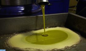 Qualité de l’huile d’olive : de la récolte au stockage, le rôle de la femme est déterminant (experte)