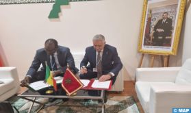 Efficacité énergétique: l'AMEE et l'AEME du Sénégal scellent une convention de partenariat