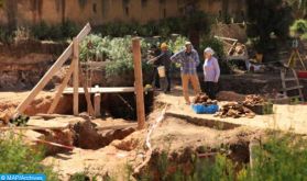 Rabat: appel à la promotion des sites archéologiques dans la région du Gharb (conférencier)