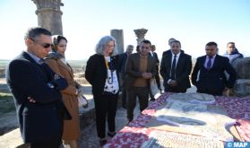 Meknès: Clôture du Projet de préservation des mosaïques de Volubilis