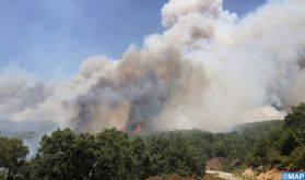Larache: Intensification des efforts pour circonscrire l'incendie de la forêt de "Bouhachem Jbel El Alam"