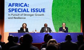 L’Afrique appelée à donner la priorité au renforcement de la résilience économique (responsables du FMI)