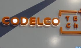Chili: diminution de 19% des bénéfices de CODELCO, le plus grand producteur de cuivre au monde