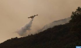 Larache: Des efforts soutenus pour maîtriser l'incendie de la forêt de "Bouhachem Jbel El Alam"