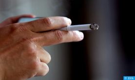 Conseil de gouvernement: Adoption d'un projet de décret fixant les taux maximums de goudron, de nicotine et de monoxyde de carbone dans les cigarettes