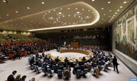 Le New Zimbabwe met en avant l’isolement de l’Afrique du Sud lors d’un débat au Conseil de sécurité sur la question du Sahara marocain