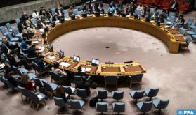 Sahara: Le Conseil de sécurité renouvelle pour une année le mandat de la MINURSO