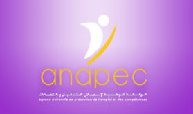 Dakhla: 134 personnes sensibilisées à l'auto-emploi et 128 projets crées en 2019 (ANAPEC)