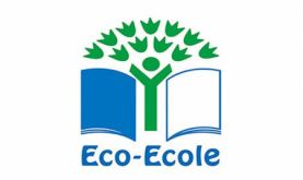 Eco-écoles: L'Académie de Rabat-Salé-Kénitra aux premières loges