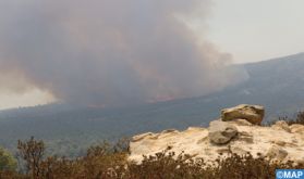 Province de Larache : propagation de l'incendie déclaré à la forêt de Béni Ysef Al-Srif, poursuite de la mobilisation pour le circonscrire (sources locales)