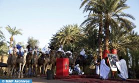 M'hamid El Ghizlane: Focus sur le rôle des dromadaires dans le commerce trans-saharien