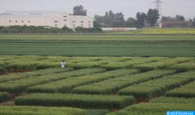 "Génération Green": Le Maroc et l'AFD signent deux conventions de financement de plus de 150 M€