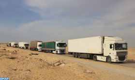 La Turquie suit les mesures prises par le Maroc pour assurer la libre circulation des marchandises et des personnes au passage d'El Guergarate (MAE)