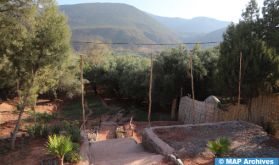 Marrakech : L'Office Régional de Mise en Valeur Agricole du Haouz tient son Conseil d'Administration