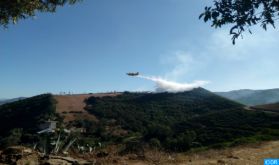 Un incendie de forêt circonscrit à Fnideq