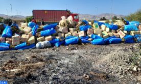 Destruction d'environ 12 tonnes de drogue à Al Hoceima