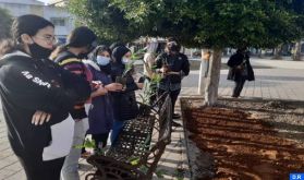 Essaouira : Journées de sensibilisation et d'action relatives à la mise en place d'un "éco-quartier" pilote