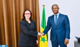 Le Sénégal engagé à contribuer au succès du projet stratégique de gazoduc Nigeria-Maroc (ministre)