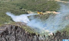 Fahs-Anjra: Les efforts se poursuivent pour maitriser un incendie de forêt à Taghramt