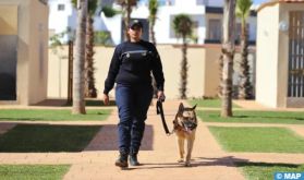 Rihab Nammari, la gendarme maître-chien qui alterne rigueur et délicatesse