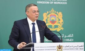 Le chantier de généralisation de la protection sociale, une "véritable révolution" qui propulsera le Maroc au rang des pays émergents (M. Lakjaa)