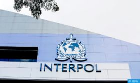 Opérations anti-drogue d'Interpol en Afrique et au MO en coordination avec une quarantaine de pays dont le Maroc