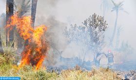 Al Haouz : Le feu de forêt déclaré à l'Ourika maîtrisé